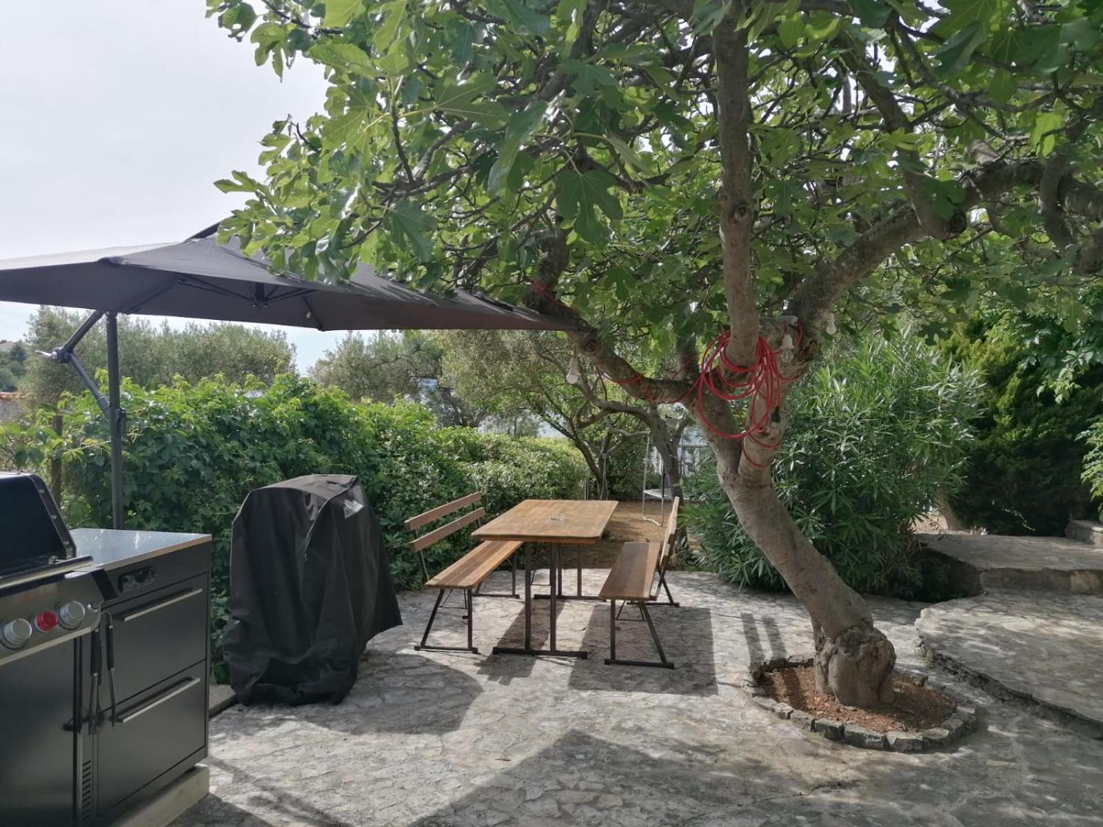 Apartments Villa Julia Trogir Ngoại thất bức ảnh